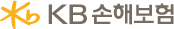 KB손해보험